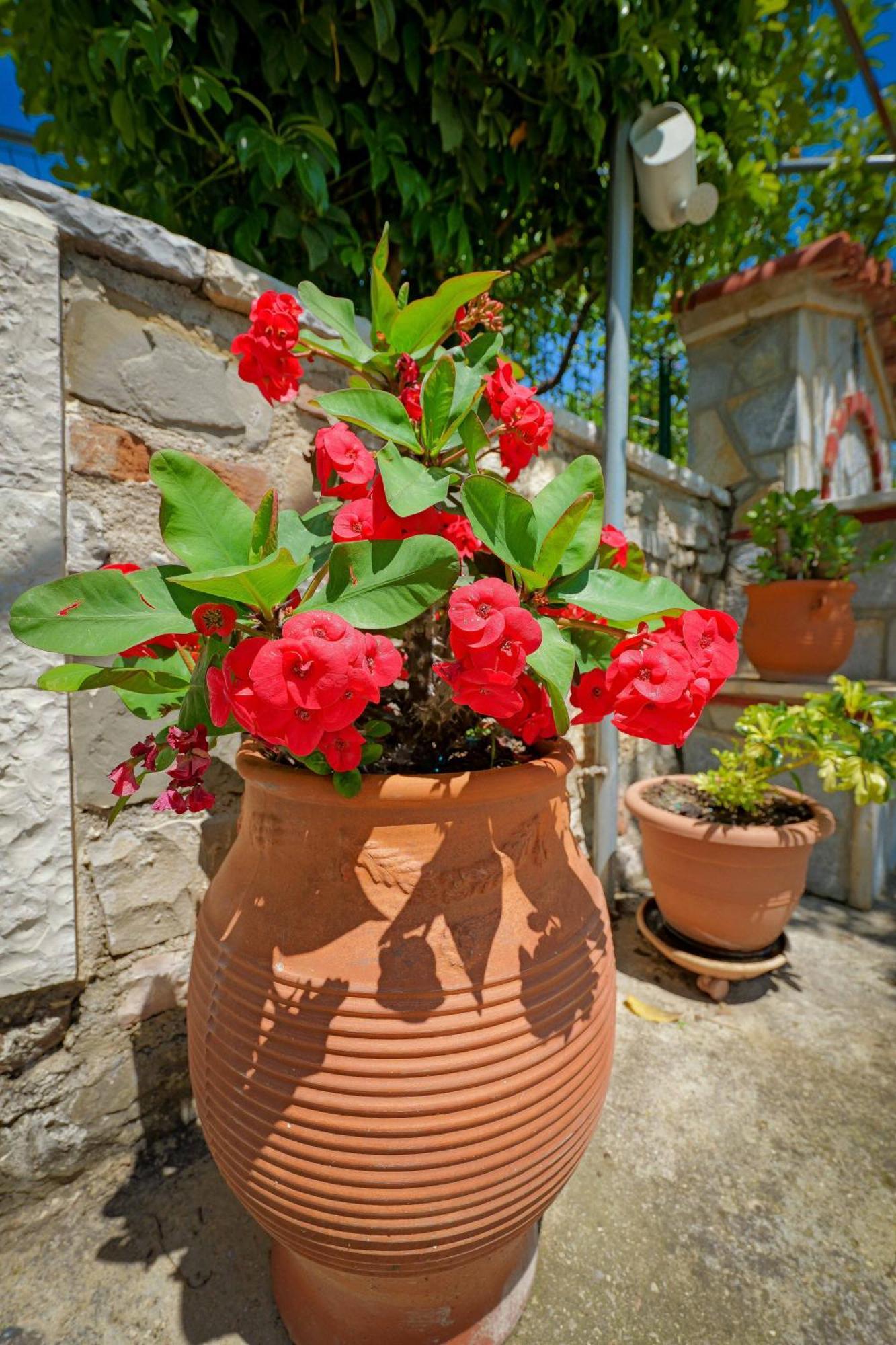 فندق Shena The Farm Boutique Mesopotam المظهر الخارجي الصورة